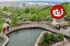 عکس| سفر زمان؛ منظرۀ فوق‌العادۀ اولین پارک تهران در دوران ناصرالدین شاه