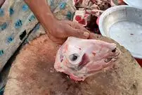 (ویدئو) مهارت دیدنی این مرد هندی در برش زدن کله پاچه بزغاله 