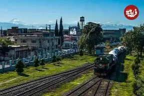 عکس| سفر زمان؛ عکس کمیاب از ساخت راه‌آهن گرگان-ساری در جنگل؛ 96 سال قبل