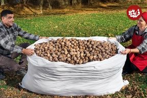 ببینید؛ غذای روستایی در آذربایجان؛ برداشت گردو و تهیه کیک با آن در کوهستان