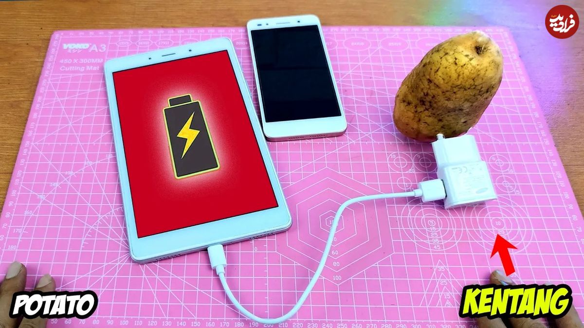 (ویدئو) با این روش گوشی تلفن را با سیب زمینی شارژ کنید!