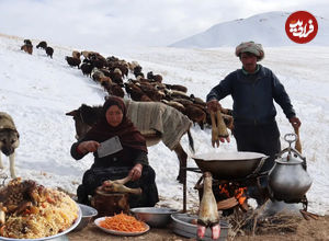 (ویدئو) غذای روستایی در افغانستان؛ پخت کابلی پلو توسط یک بانوی عشایر