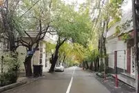 عکس| سفر به تهران قدیم؛ نمایی از «محله کاشانک» در سال 1366