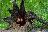 ببینید| نحوه ساخت یک پناهگاه مخفی در داخل یک درخت توخالی در آلمان