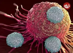 با این رژیم غذایی سرطان‌ها را از خود دور کنید