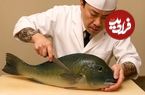 ببییند؛ غذای خیابانی در ژاپن؛ برش ماهرانه ماهی کمیاب Scarbreast Tuskfish و تهیه ساشیمی
