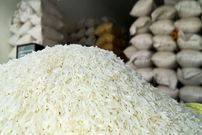سنت‌شکنی در بازار برنج؛ بازار برنج تنظیم می شود؟
