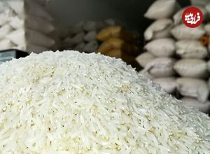 سنت‌شکنی در بازار برنج؛ بازار برنج تنظیم می شود؟