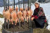 ببینید| غذای روستایی در آذربایجان؛ کباب کردن 20 مرغ روی آتش و در هوای برفی