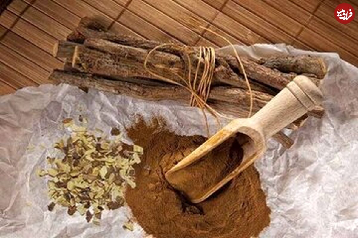 گیاهی تلخ با خواصی شیرین؛ از ویتامینهای B۱، B۲، B۳، B۵ تا ویتامین E