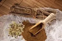 گیاهی تلخ با خواصی شیرین؛ از ویتامین‌های B۱، B۲، B۳، B۵ تا ویتامین E