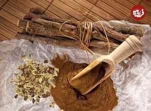 گیاهی تلخ با خواصی شیرین؛ از ویتامین‌های B۱، B۲، B۳، B۵ تا ویتامین E