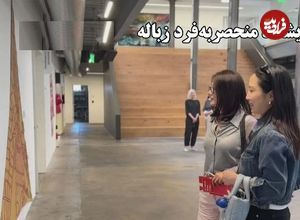 ببینید؛ نمایشگاه منحصر به فرد زباله؛ بازگرداندن اشیاء کهنه به درخشندگی تازه