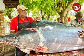 ببینید؛ صید ماهی مارلین بزرگ 200 کیلوگرمی و برش ماهرانه آن در سواحل سریلانکا