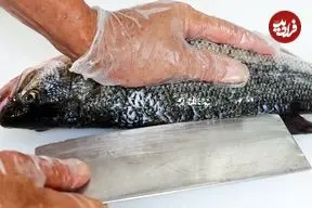 ببینید| غذای خیابانی در آمریکا؛ پخت غذا با ماهی باراماندی و به روش چینی ها در نیویورک