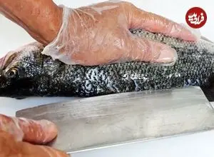 ببینید| غذای خیابانی در آمریکا؛ پخت غذا با ماهی باراماندی و به روش چینی ها در نیویورک