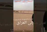 (ویدئو) این مار 100 متری ترسناک از صحرای عربستان به سمت عراق در حرکت است!