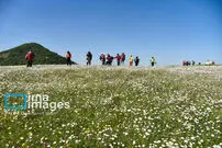 تصاویر| اردیبهشت، بهترین زمان برای سفر به مناطق زیبای ایران