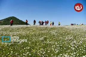 تصاویر| اردیبهشت، بهترین زمان برای سفر به مناطق زیبای ایران