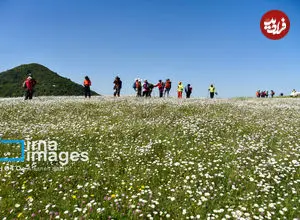 تصاویر| اردیبهشت، بهترین زمان برای سفر به مناطق زیبای ایران