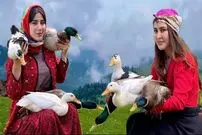(ویدئو) غذای روستایی در گیلان؛ پخت غذای محلی با اردک، گردو، پیاز و سبزیجات