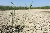 پیش‌بینی وضعیت خطرناک تا سال ۲۰۵۰ برای زندگی انسان‌ها