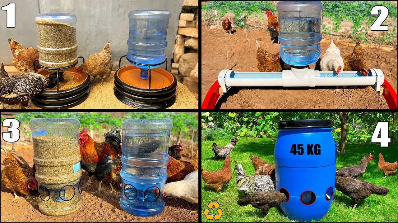 (ویدئو) 4 تکنیک درخشان برای تبدیل بطری و بشکه پلاستیکی به دانخوری مرغ ها