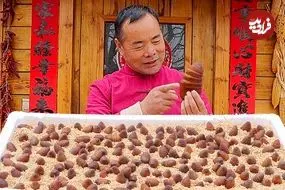 ببینید| غذای روستایی در چین؛ پخت یک غذای خاص با شفیره کرم ابریشم