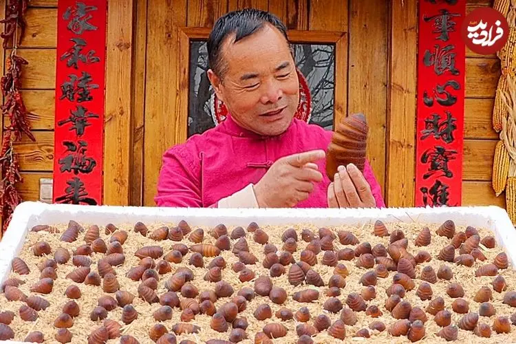 ببینید| غذای روستایی در چین؛ پخت یک غذای خاص با شفیره کرم ابریشم