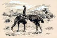 بازگشت پرنده غول‌پیکر منقرض‌شده به زندگی