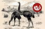 بازگشت پرنده غول‌پیکر منقرض‌شده به زندگی