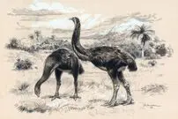 بازگشت پرنده غول‌پیکر منقرض‌شده به زندگی