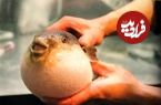 عجیب‌ترین عادت غذایی در کشورهای جهان