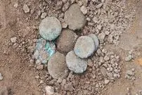 کشف سکه‌هایی که 1400 سال قبل از جیب صاحبانشان افتادند