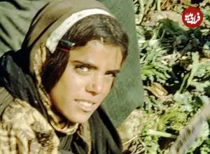 عکس| سفر زمان؛ دختران اصفهانی در حال کار در مزرعۀ چغندر قند؛ سال 46