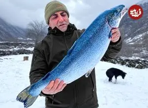 ببینید| غذای روستایی در آذربایجان؛ کباب ماهی سالمون با نمک روی آتش در برف