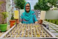 ببینید؛ غذای روستایی در هند؛ تهیه دسر هندی کلفی (Kulfi) توسط مادر بزرگ روستایی