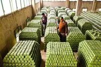 (ویدئو) فکرش را می کردید که درست کردن صابون زیتون سنتی این همه دردسر داشته باشد؟