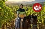 ببینید| غذای روستایی در ایران؛ برداشت غوره تازه از مزرعه و تهیه آبغوره با آن