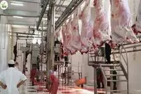 (ویدئو) فرآیند جالب و دیدنی برش و بسته بندی گاوهای غول پیکر در یک کارخانه روسی