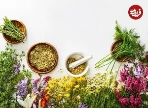 رایحه گیاهان می‌تواند از حافظه و ذهن، محافظت کند