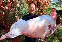 ببینید| غذای روستایی در چین؛ کباب کردن بره کامل شکم پر در تنور