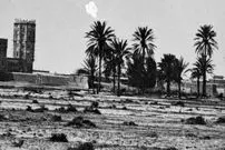 عکس| سفر زمان؛ منظرۀ اداره تلگراف بوشهر در دوران حکومت قاجار