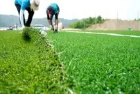 (ویدئو) ببینید کره ای ها در چه فرایند جالبی چمن مصنوعی را تولید و نصب می کنند