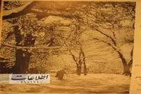 وقتی یک متر برف در رشت روی زمین نشست