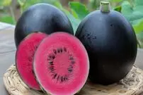 گرانترین میوه‌های جهان؛ از مِلون ژاپنی تا آناناس انگلیسی