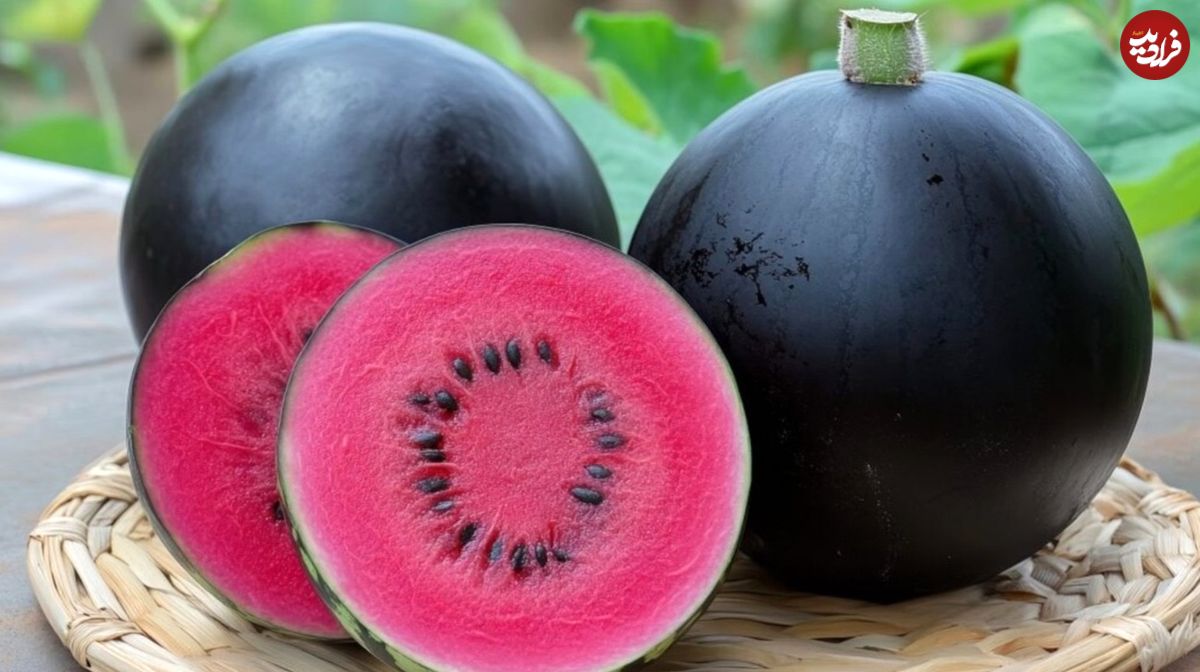 گرانترین میوههای جهان؛ از مِلون ژاپنی تا آناناس انگلیسی