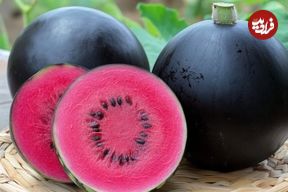 گرانترین میوه‌های جهان؛ از مِلون ژاپنی تا آناناس انگلیسی