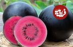گرانترین میوههای جهان؛ از مِلون ژاپنی تا آناناس انگلیسی