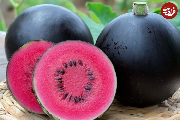 گرانترین میوههای جهان؛ از مِلون ژاپنی تا آناناس انگلیسی